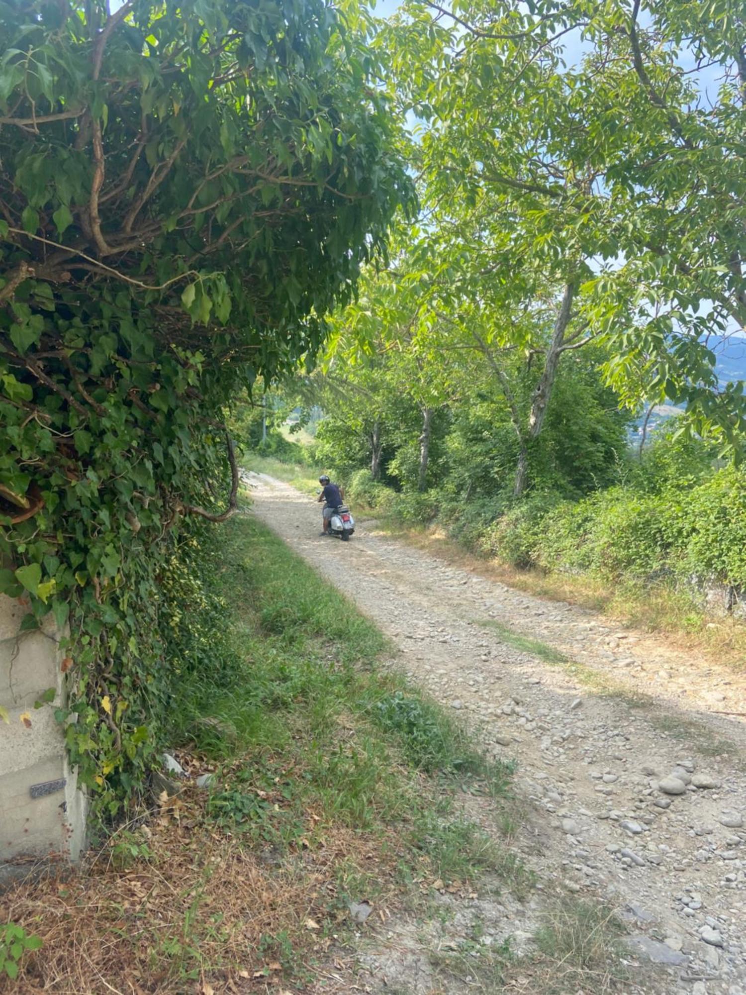Stanza Nel Bosco Alla Canova Di Biforco Rocca San Casciano Extérieur photo