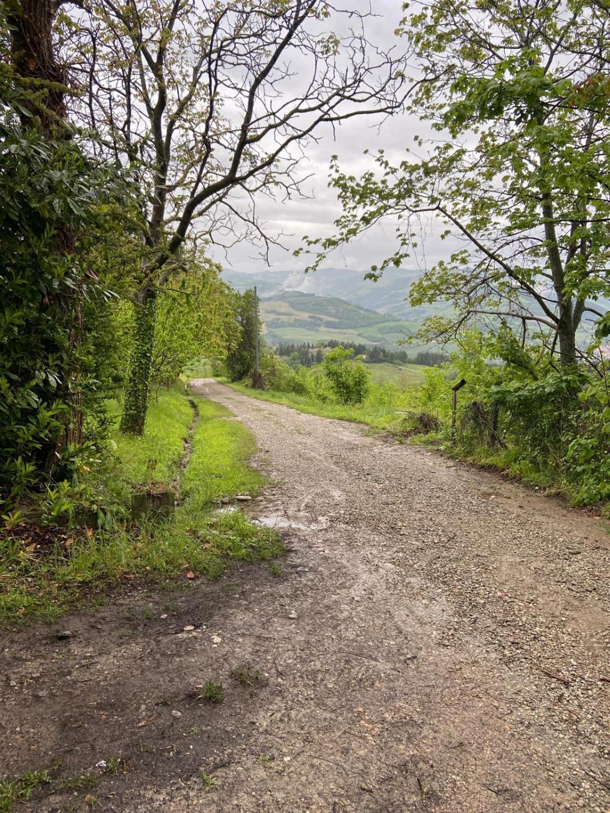 Stanza Nel Bosco Alla Canova Di Biforco Rocca San Casciano Extérieur photo