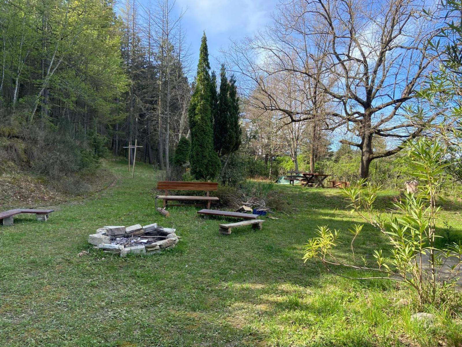 Stanza Nel Bosco Alla Canova Di Biforco Rocca San Casciano Extérieur photo